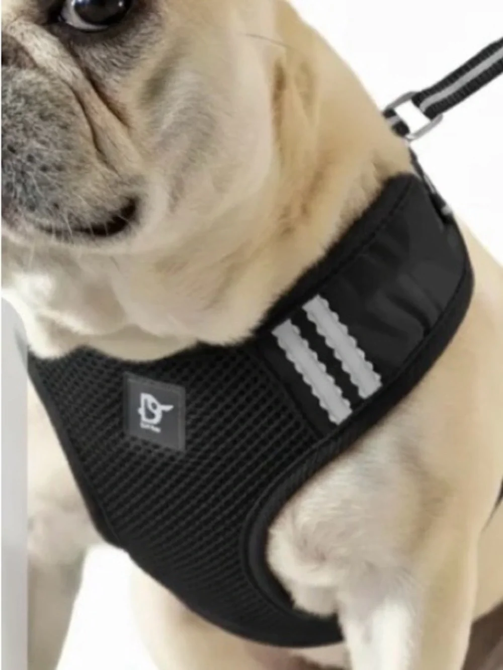 Navy Mesh Dog Harness with Matching Leach Large